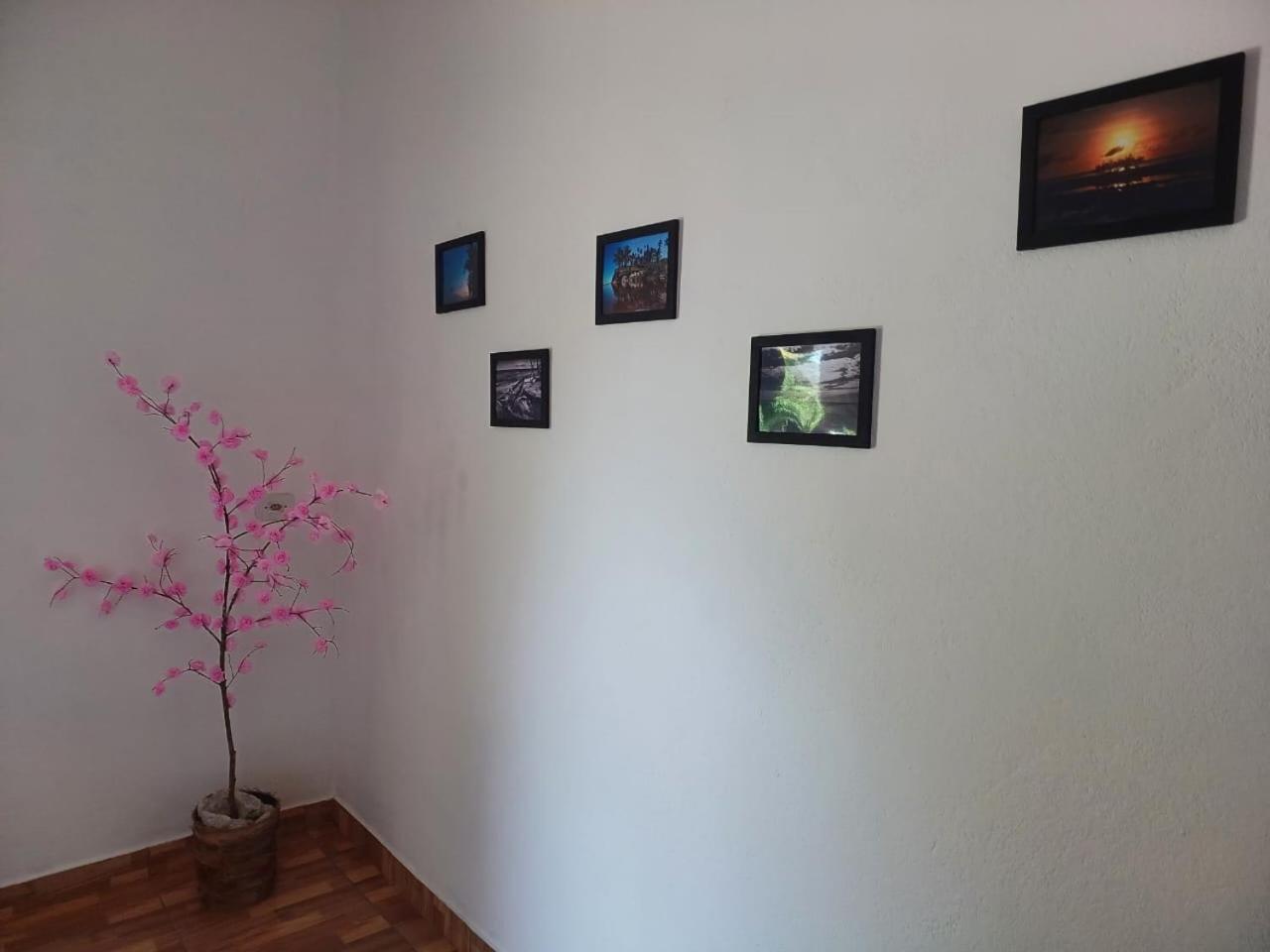 쿠무루샤치바 Casa Jubarte 빌라 외부 사진